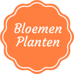 Bloemen-Planten