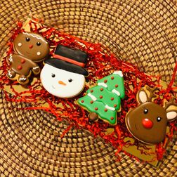 Gingerbreadman - Sneeuwman - Kerstboom - Rudoplh